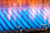 Clipiau gas fired boilers